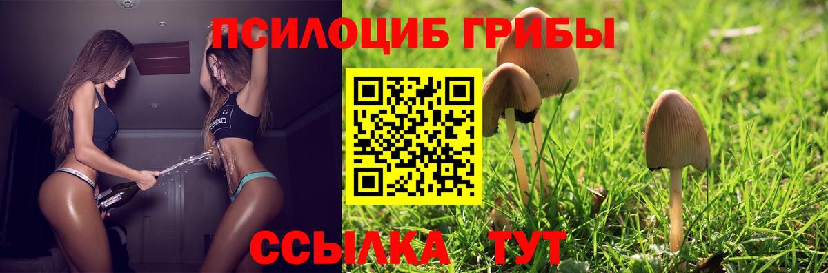 Екатеринбург  Псилоцибиновые грибы прущие грибы  Вход с VPN 